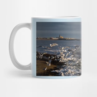 Seagulls feeding amongst the kelp Mug